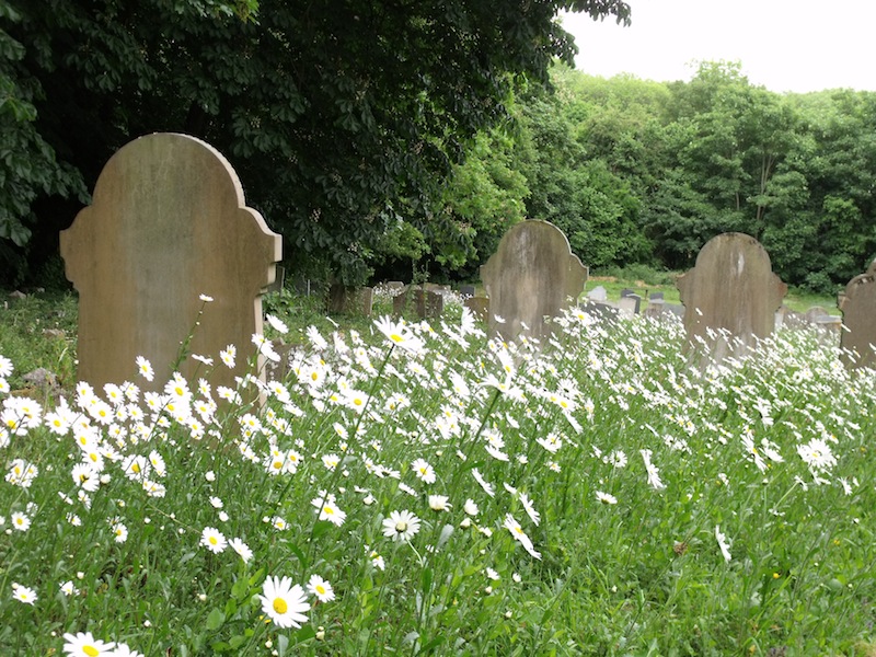 BarkingChurchyard