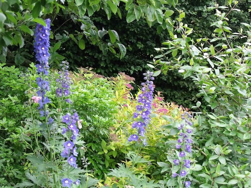 WhelnethamGardens